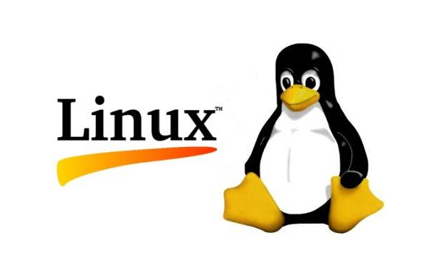 Linux命令别误敲 致命性错误别犯